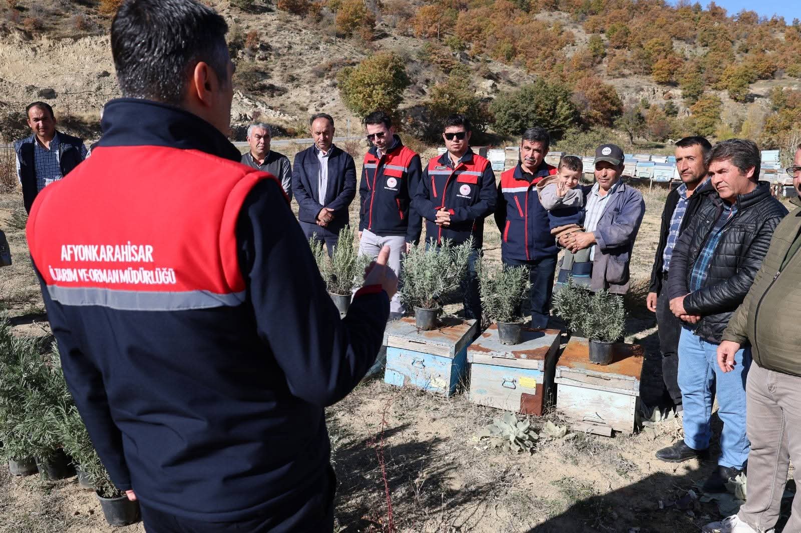 Afyonkarahisar'da Lavanta Projesi: Bal Kalitesi ve Üretici Gelirine Katkı