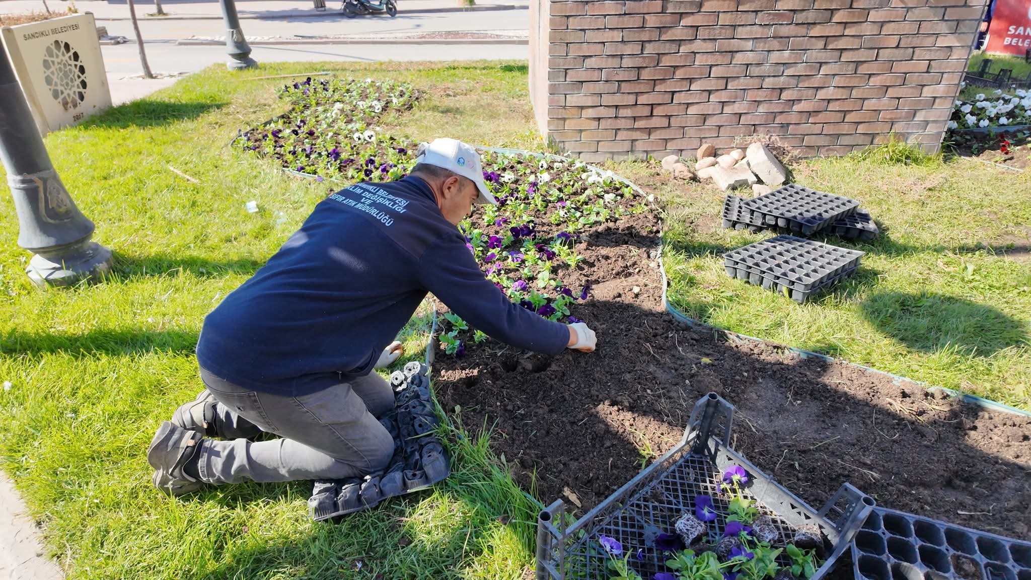 Sandıklı Belediyesi Kışa Hazır: Kışlık Çiçekler Toprakla Buluştu
