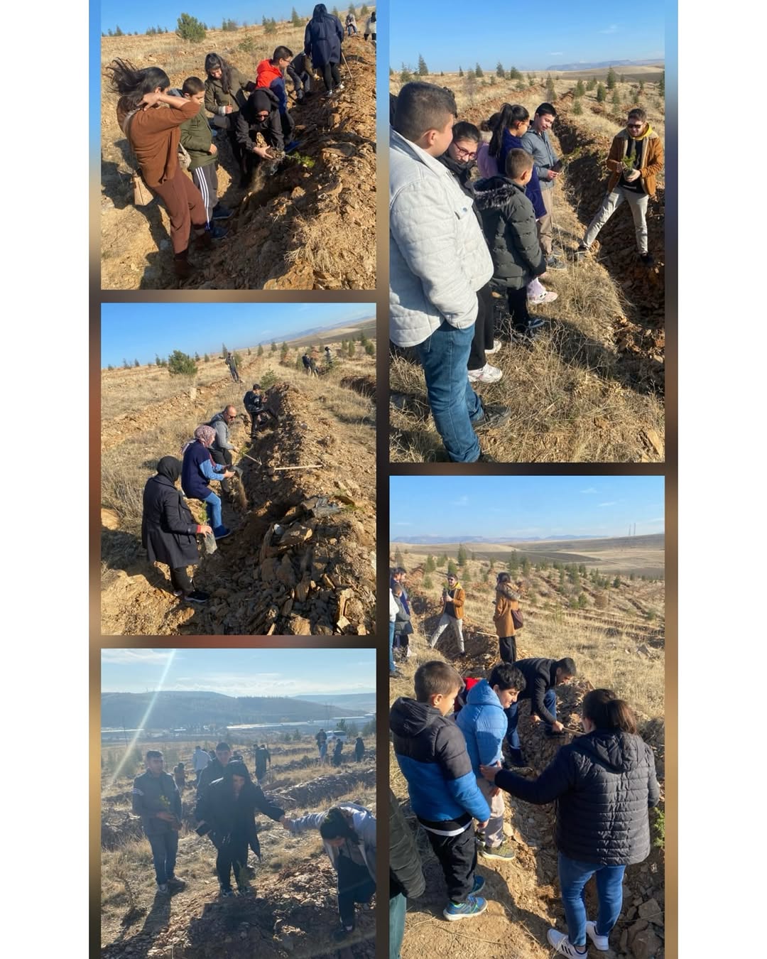 Milli Eğitim Bakanlığı 'Yeşil Vatan' Temasıyla Çevre Duyarlılığını Arttırıyor