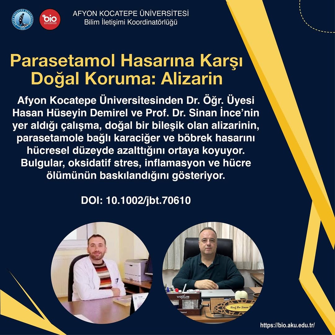 Afyon Kocatepe Üniversitesi'nin Yaptığı Çalışma: Parasetamol Hasarına Karşı Alizarin Koruması