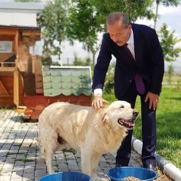 Afyonkarahisar Milletvekili Köpek İşkencesine Tepki Gösterdi