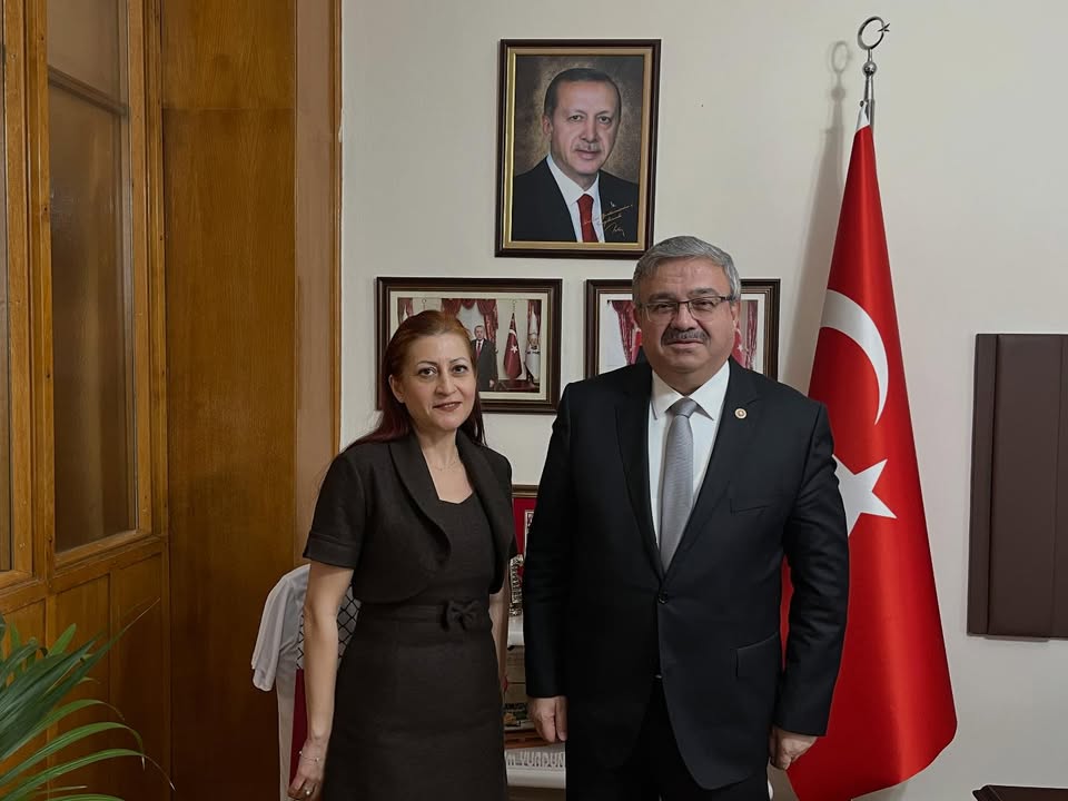 TBMM'de Güney ve Batı Avrupa Genel Müdür Yardımcısının Ziyareti